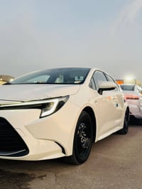 كورلا هايبرد • ٢٠٢٤ • كفالة