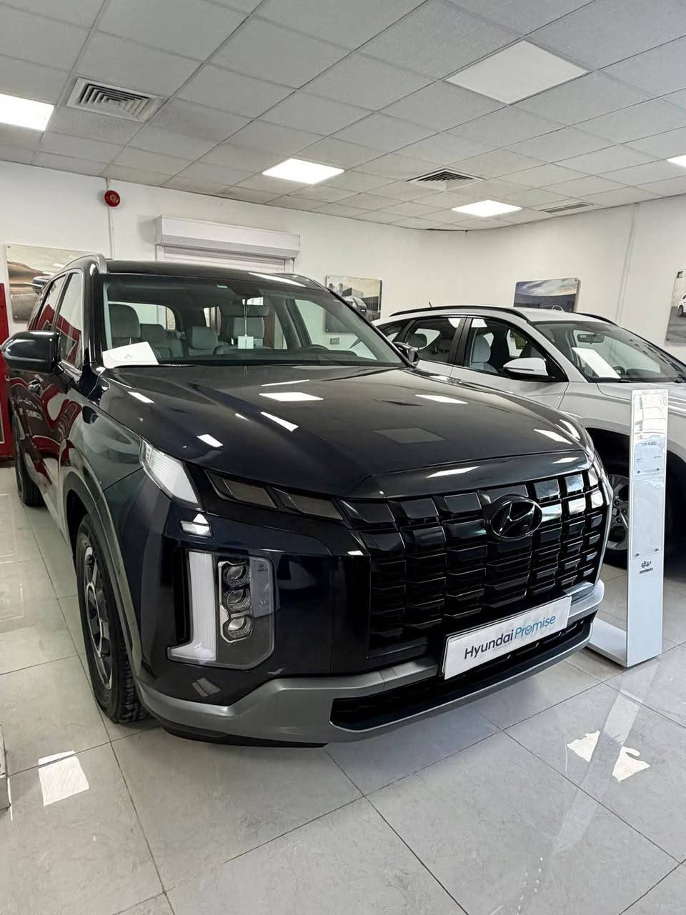 للبيع مجموعه سيارات حاليا بالامارات 
جاهزات لشحن 
عربول فقط لحين الوصول الى البصره 

#من لديه #كتاب شهداء #يستلم جاهز 

نقل مجاني من البصره الى جميع المحافظات

#تواصل #واتس***********
