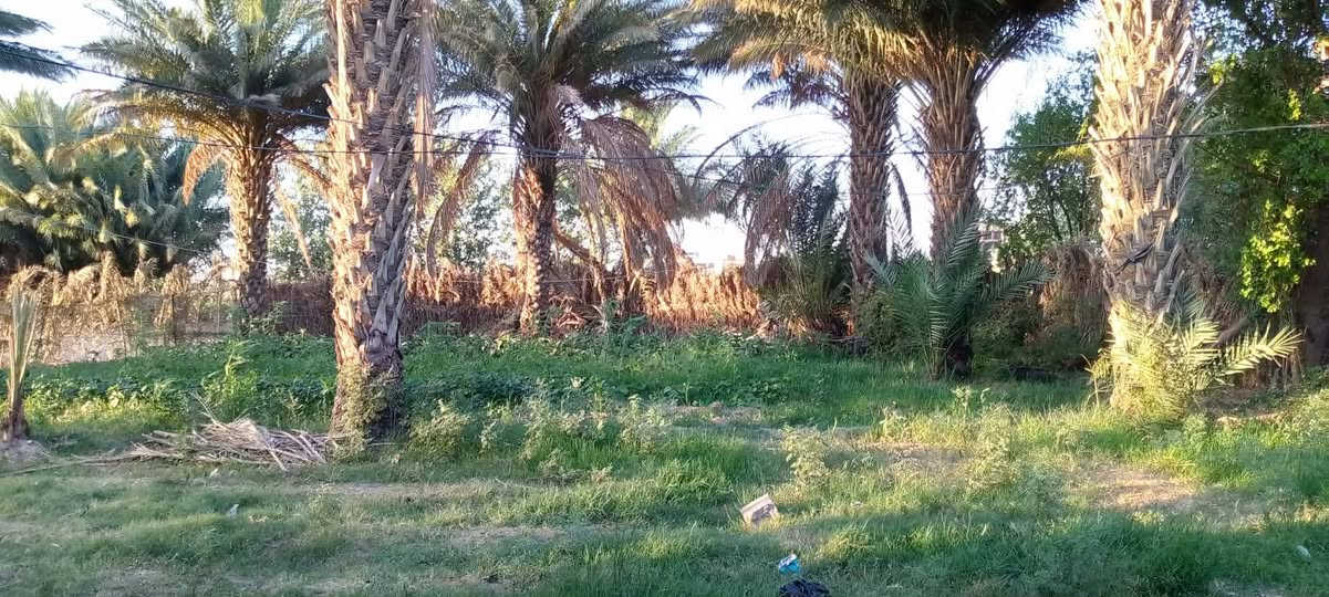 سلام عليكم
بيت لبيع مساحته 1500مع البستان
 يحتوي لبيت على غرفتين ومطبخ وصاله استقبال خارجي مع دونم على شط مكان واسط 
منطقه ليوسفيه مقابل دور الخليج
الستفسار على رقم

اسيا.***********

اثير.***********
