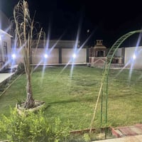 مزرعة الايجار الاستفسار  07800034005