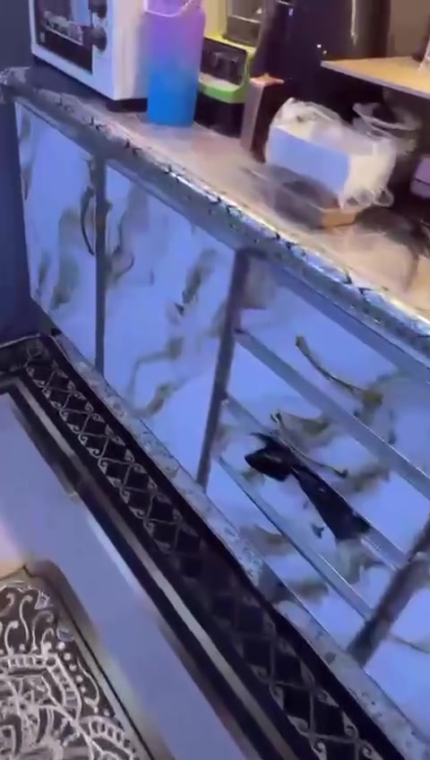 ب فيه متر ونص وكاونتر مترين ونص ***********
