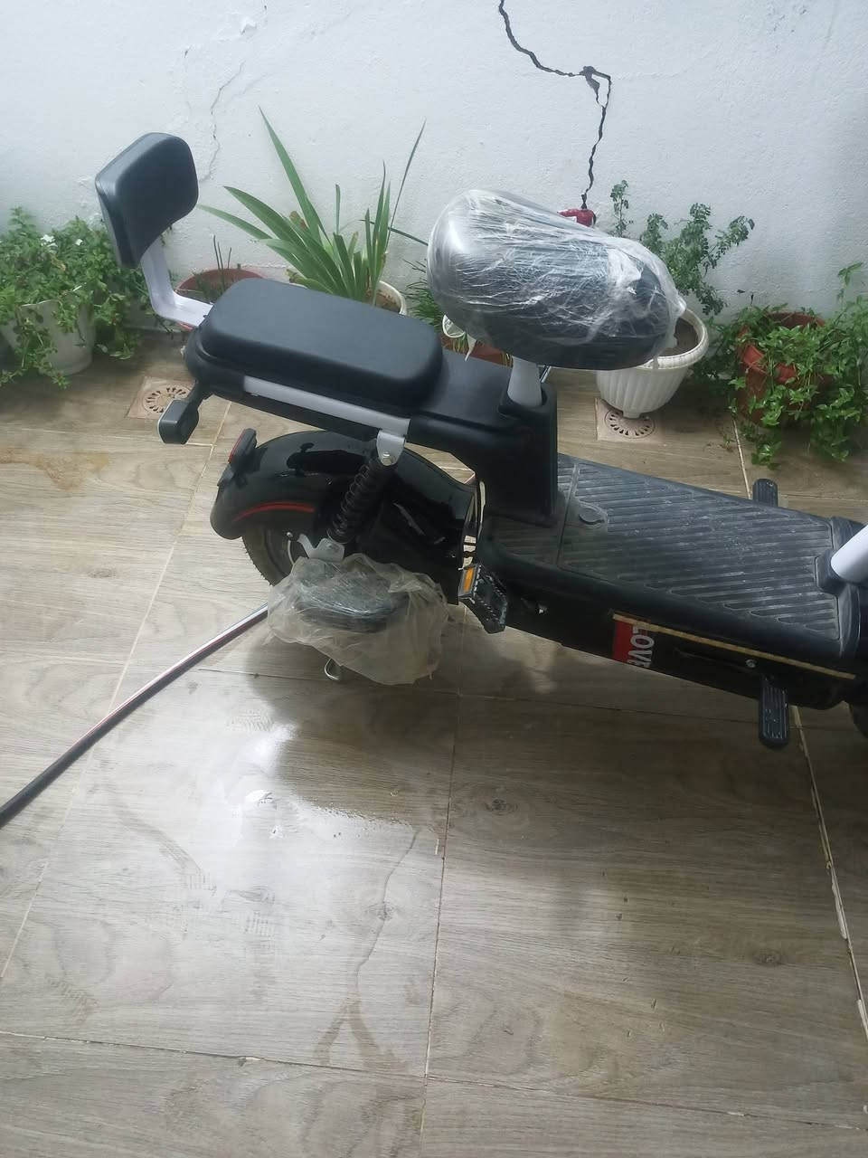 پاسكيل شه حن حه فته يه كه  مريومه لؤك لوكه بؤفرؤشتن ***********

