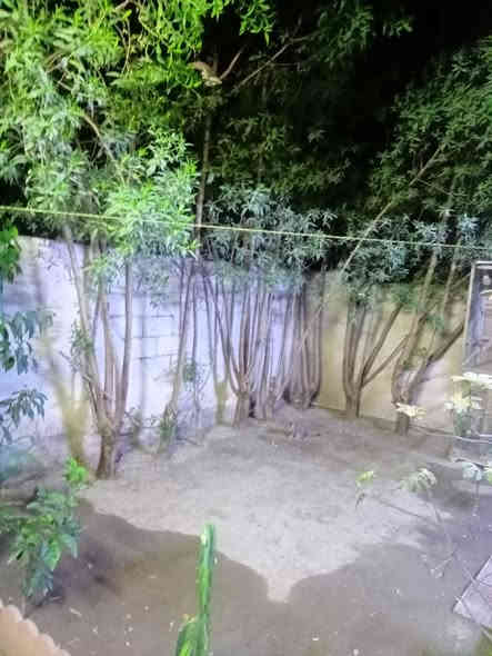 السلام عليكم عندي شقة نظيفة جدا بيه تحويرات بسمي ملك صرف إستفسار وهكذا رقمي ***********
