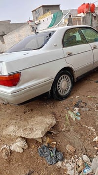 بطة فصل • للبيع • بابل