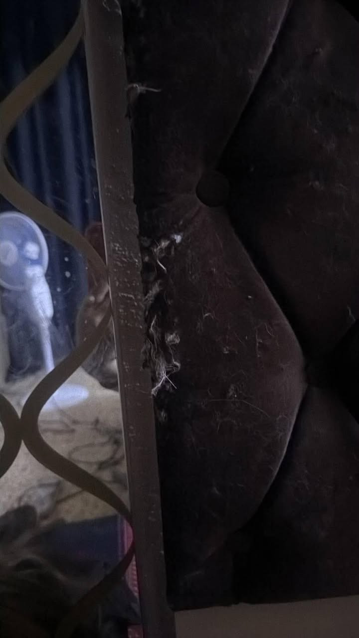 سلام عليكم غرفة نوم للبيع سعر مليون و بيه مجال للاستفسار الاتصال على ***********
