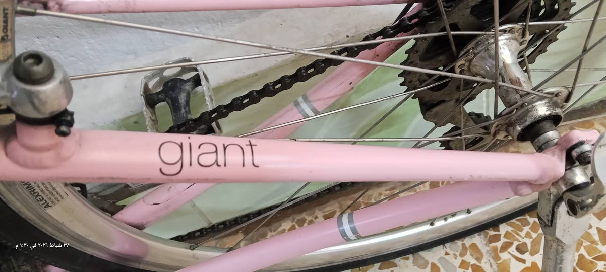 دراجه ماركت giant
نظافه ٩٠ %

حجم ٢٦ 

معدن المنيوم 
وياله زوم

مشتري ٢٠٠ الف اريده ١٢٠ الف وبي مجال للطيبن


**إذا كنت صاحب هذا الإعلان وتريد حذفه لأي سبب، رجاءا أرسل رسالة إلى الدعم الفني**