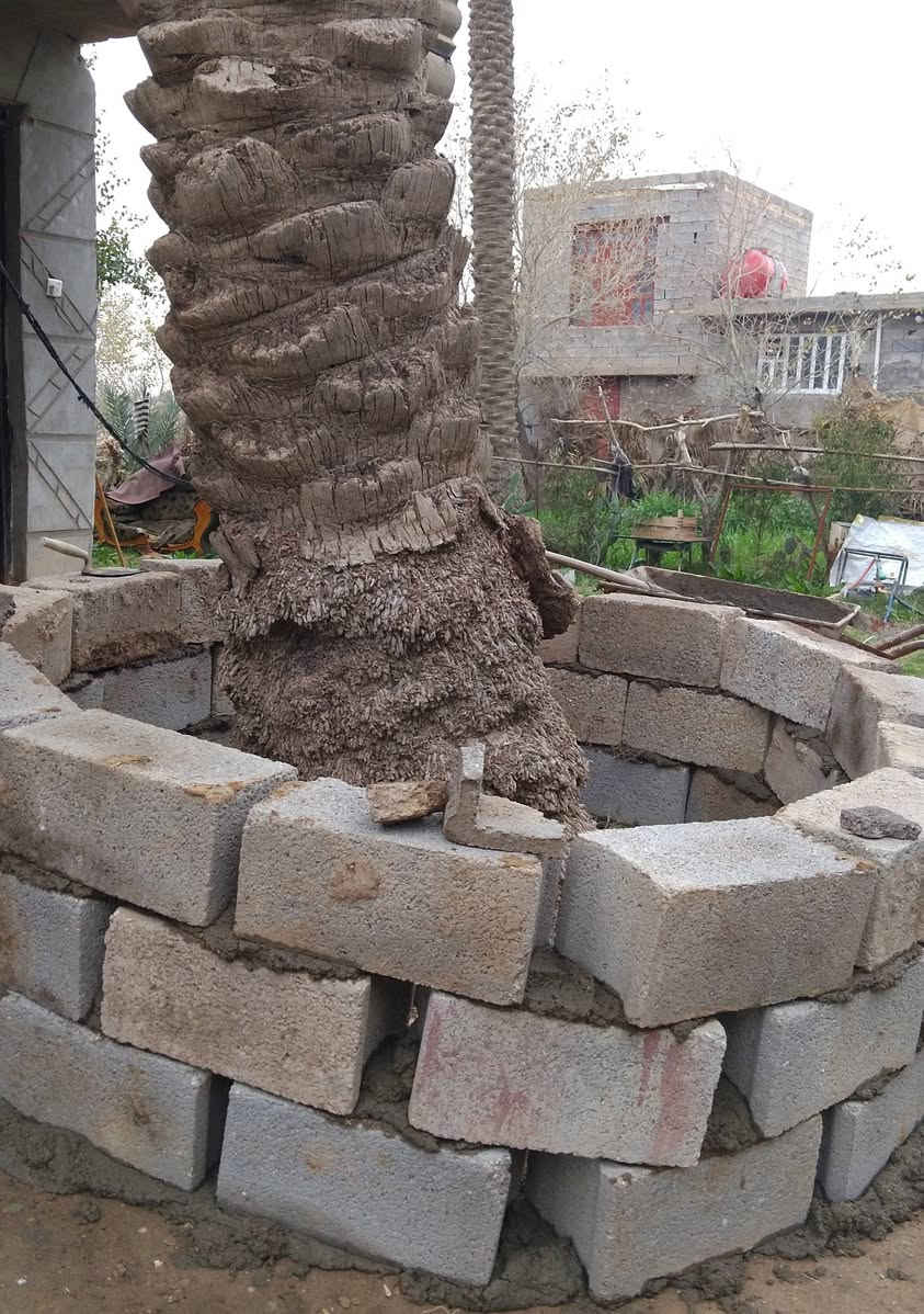 السلام عليكم
نشتغل كافه انواع الحدائق   من ترتيب من تنضيف من ديكورات   وديكورات أشجار زينه  هم نشتغل 
شغلنه نضيف و نخلي الزبون مرتاح 
الاستفسار اتصال على الرقام التاليه 
‏‪0781 534 5864‬‏
‏‪0780 935 8143‬‏
 🤍🤍
