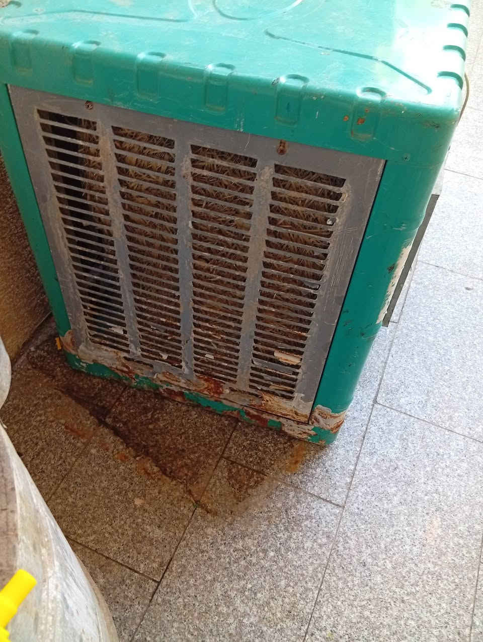 شغاله حلفه جديد السعر ٦٠ ***********٧٨٠٥١٠٢٦١٥
