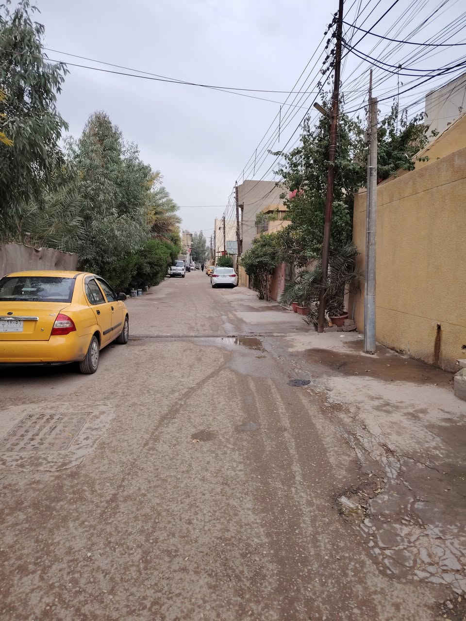 لاستفسار اتصل على الرقم ***********
