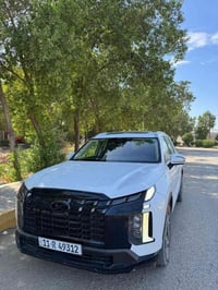 بنسايد • ٢٠٢٤ • صور حادث