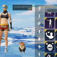 حساب ببجي • مستوى ٧٨ • مرتب