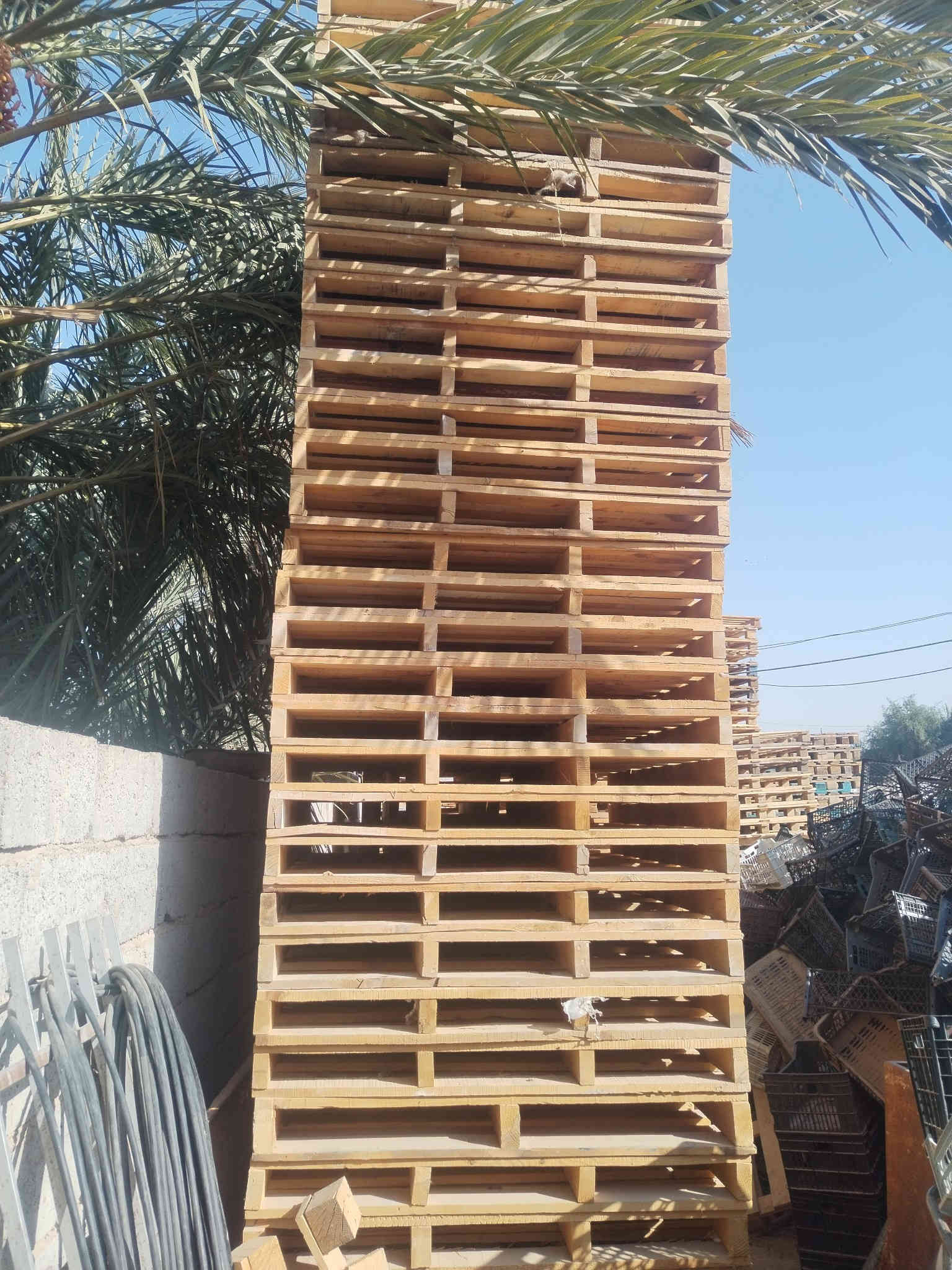 سلام عليكم سكيب العدد ٣٠٠ سكيبة بلكوت *********** كوت حي لحكيم الثانية
