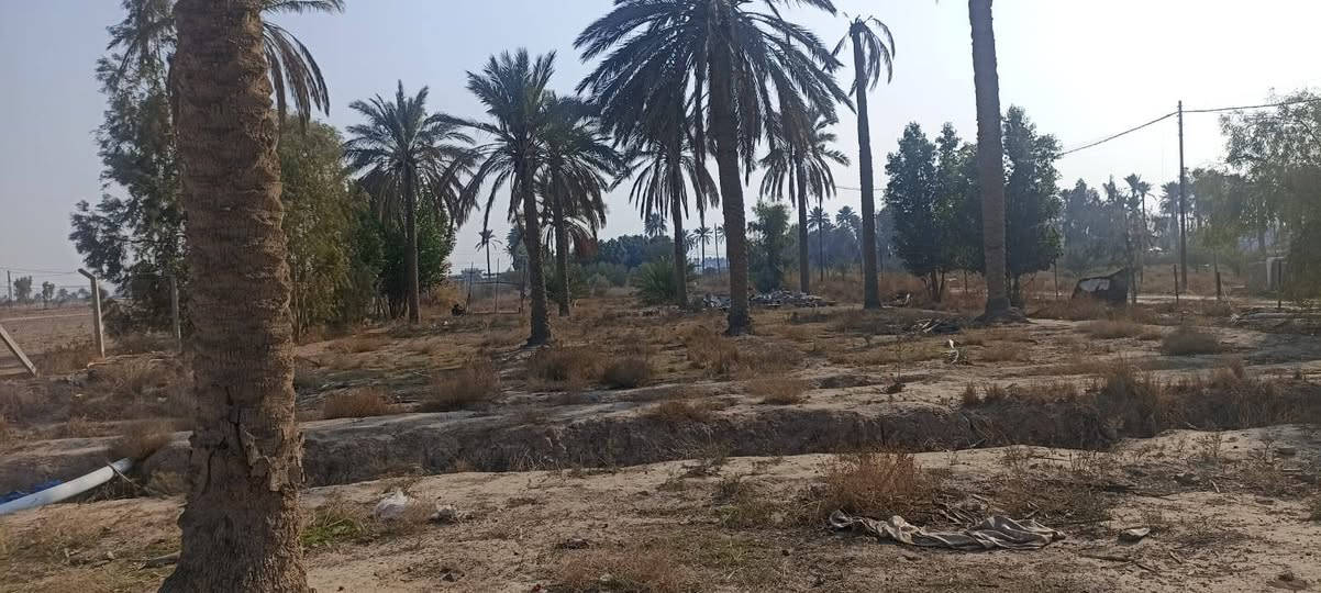 السلام عليكم دونم طابوا سند ٢٥احوله باسمك بالتسجيل العقاري مساحتها ٢٥٠٠ واجهه ١٠٠ نزال ٢٥ في منطقه دوانم قريه المراسمه قريبه ع قريه مكاسب  خلف مطار بغداد  متوفر فيها جميع الخدمات من ماء وكهرباء  كذلك يوجد شاليهات تكدر تستغل فرصه  للاستفسار اكثر الاتصال ع رقم‏‪+9647736444590‬‏


**إذا كنت صاحب هذا الإعلان وتريد حذفه لأي سبب، رجاءا أرسل رسالة إلى الدعم الفني**