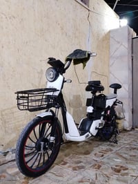 باسكل شحن • موديل 2023 • 30–45كم