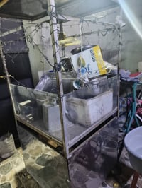 07744507888بيع مال حب ٢٠٠ ألف وله مال فنكر ٢٥٠ كامل هو غرضه