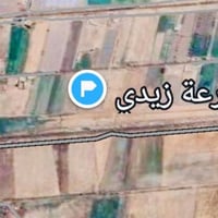 أرض للبيع مساحة ٥ دونم سند ٢٥ سبع البور قرية المصالحة الاستفسار اتصال ...
