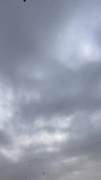 سوزوكي • كربلاء