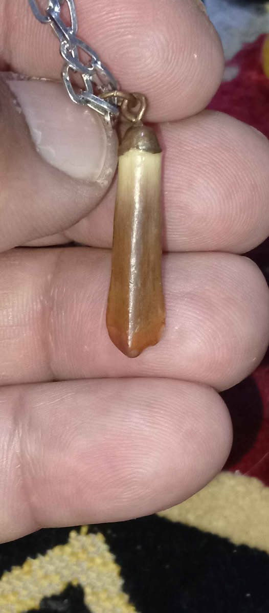 ‎قلادة عطف‎ كربلاء, العراق


**إذا كنت صاحب هذا الإعلان وتريد حذفه لأي سبب، رجاءا أرسل رسالة إلى الدعم الفني**