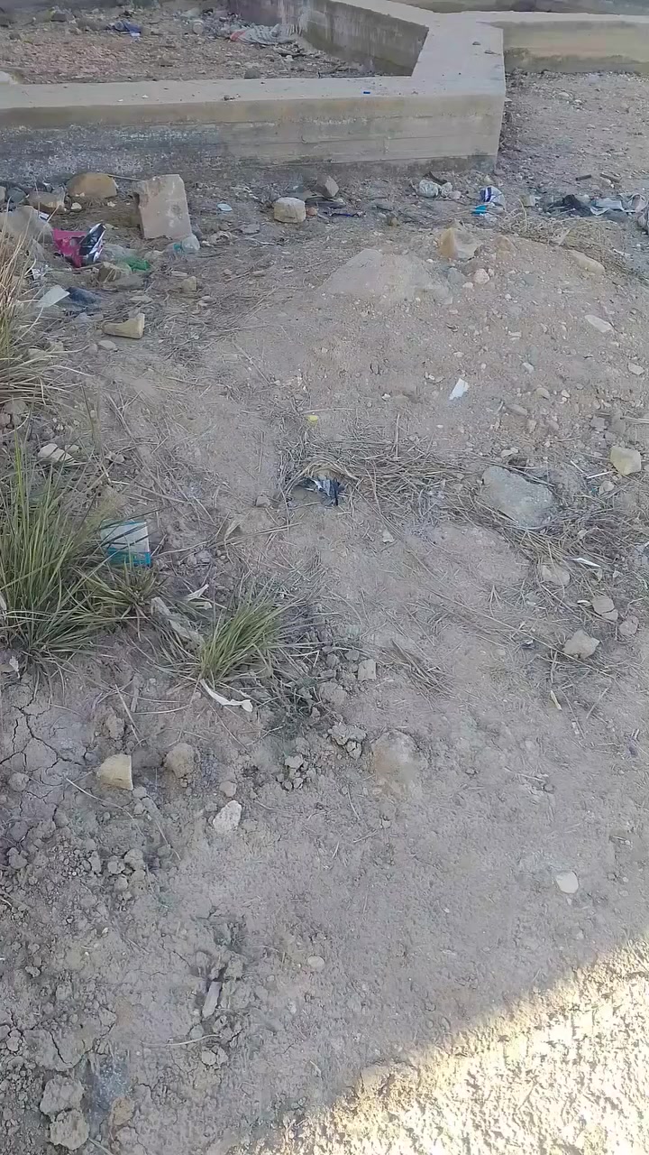 السلام عليكم قطعه للبيع طابو زراعي سند 25 بيهه ريفت ارضي خدمات مي كهرباء شوارع تبليط العنوان ورديه مقابيل جامع العكام السعر المطلوب 25 مليون ***********
