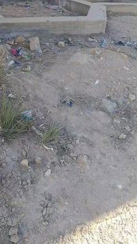 ورديه مقابل جامع العكام • طابو زراعي سند ٢٥ • ٢٠٠م