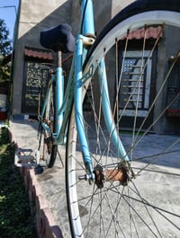 باسكل • هاشميه