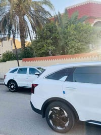 ويل كب • ١٩ • مراوس