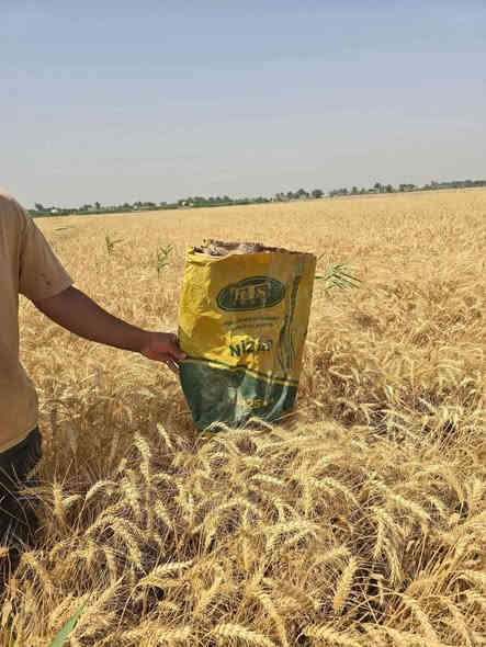 السلام عليكم 
عنوان:ديالى بعقوبة طريق باب الدرب مجاور اسواق الشمري 
***********
