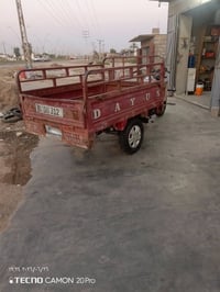ستوتة دايوان • مديل 15 • اوراق كاملة