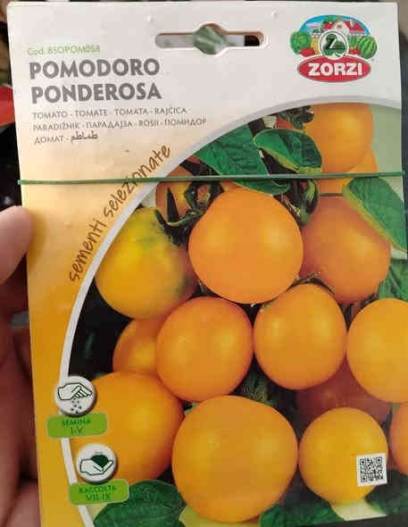 زبائننا الكرام...
أصحاب هواية الزراعة المنزلية..
توفرت بذور ورد وابصال
و بذور  خضرارات
و بذور ثيل 
للحجز والاستفسار يرجي مراسلة الصفحة
يوجد توصيل لجميع المحافظات🚘

*********** واتساب
