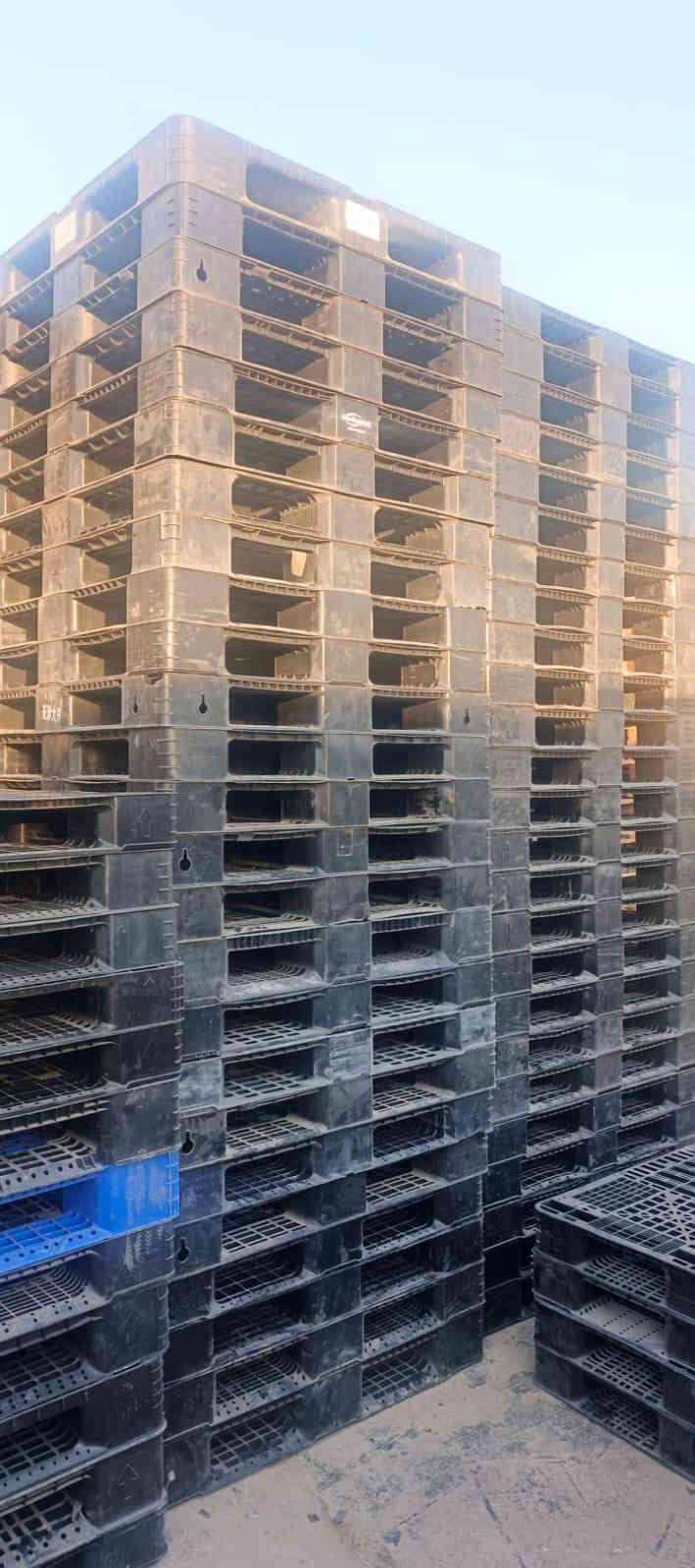 سكيب بلاستك اسود العدد الكلي 135
قياس 110x110 العدد 60
قياس120x100 العدد 75
الوزن 7كيلو سعر القطعة 5ونص مطروح مكاني بغداد 
***********
