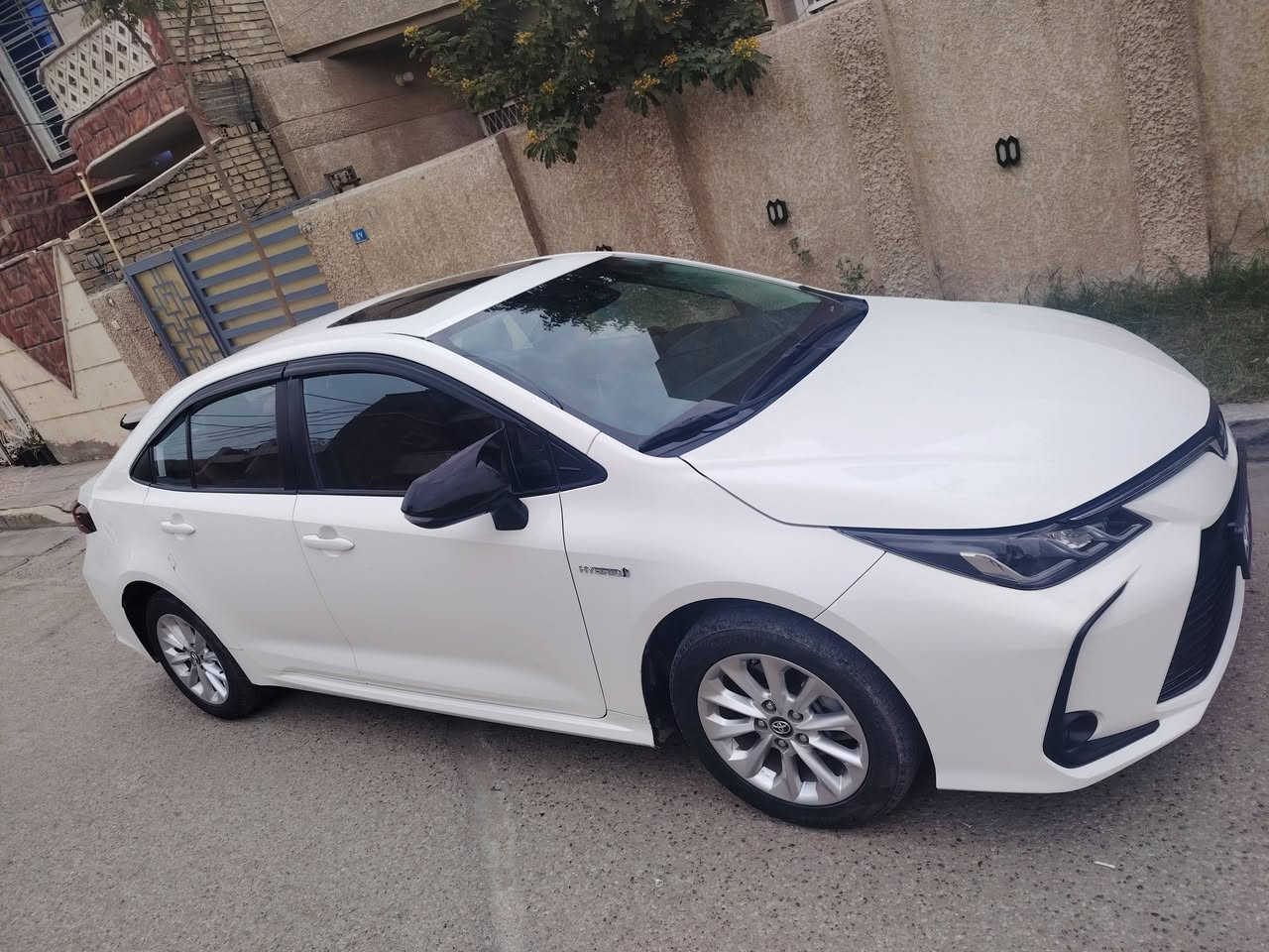 السلام عليكم
كورلا هايبرد موديل 23 الشكل الخليجي 

الوجبه الاولى العلامة الزركه 

السيارة  فقط دعاميه الخلفيه شخص بيها صبغتها قليل بس 

السيارة بعدها على وضع الشركة 

المواصفات فول 

بصمه 

بصمة ابواب 

فتحه 

ردار 

دخول ذكي 

تحديد مسار 

تحكم ذاتي 

توقف ذاتي 

الداخل احمر 

كشنات جلد 

جام 4 اوتو 

سايد بريك بصمه 

السيارة ماشية 55 الف

السعر 150$  مع المجال

مكان السيارة بغداد تقاطع درويش 

رقم وهزه جديد بااسمي تحويل ثاني يوم  

للاستفسار اكثر   الرقم***********
