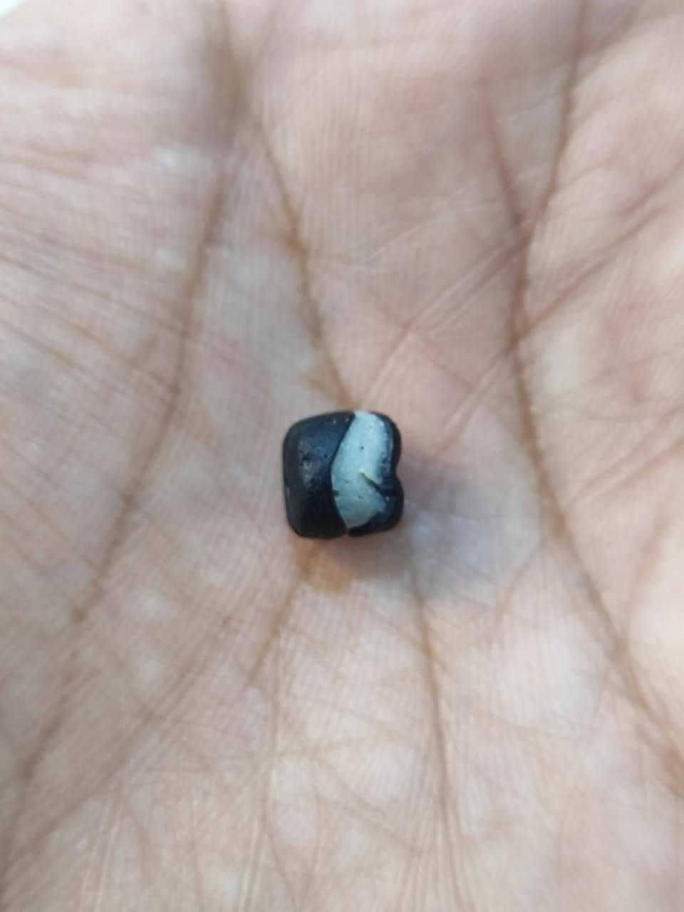 جزع خنصر ناعمه 💪مال كاع يعني مال كاع،الي ينشاف بالعين ماينحمد😍


**إذا كنت صاحب هذا الإعلان وتريد حذفه لأي سبب، رجاءا أرسل رسالة إلى الدعم الفني**