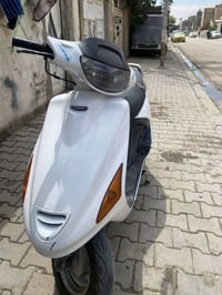 فراشه • حاويه بلاديه • كله شغاله