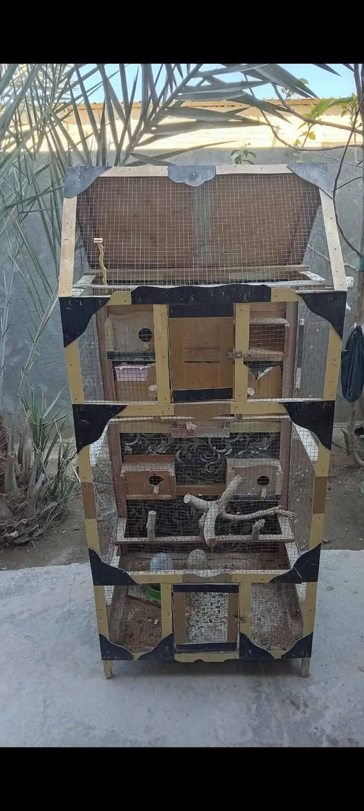 مكلف بالنشر قفص كناري للبيع السعر 40.. الف بيه مجال بصيط،المكان فلوجه تواصل خاص


**إذا كنت صاحب هذا الإعلان وتريد حذفه لأي سبب، رجاءا أرسل رسالة إلى الدعم الفني**