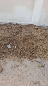 سماد • نضيف • بصرة زبير