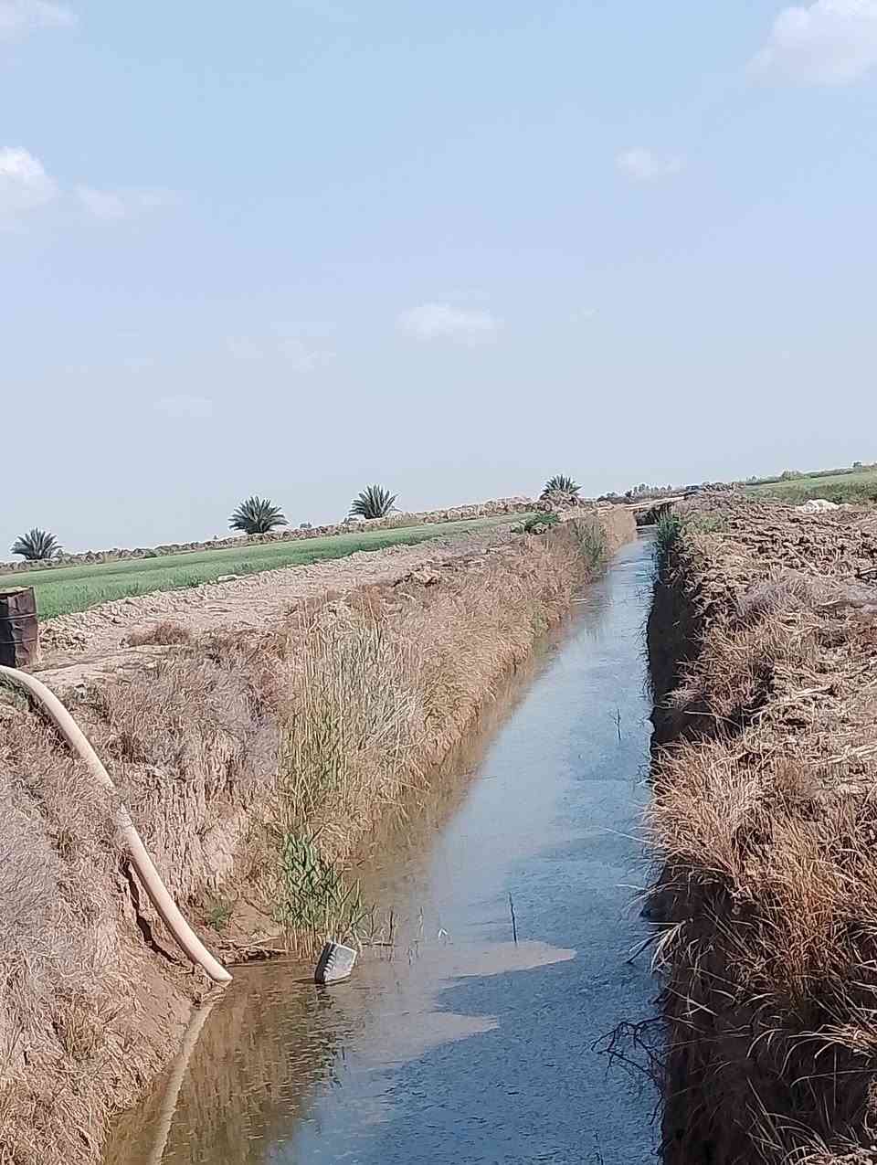 ارض زراعية للبيع
25 دونم، ،،،عقد 35 مجدد للسنة 2027
المي والزرع بيها صورة، ،،ناحية الامام -المزرعة ش5
للتواصل للاتصال بالرقم التالي *********** او المراسلة ع الخاص 👍
