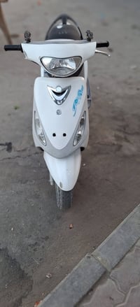 ماكس منغولي • نضيفه • مجال قليل