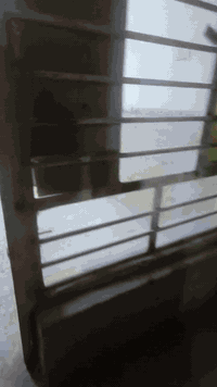 📍 الشعب – شارع عدن خلف مطعم حجي عادل 🔹 3 غرف نوم 🔹 صالة 🔹 مطبخ 🔹 خدمات...