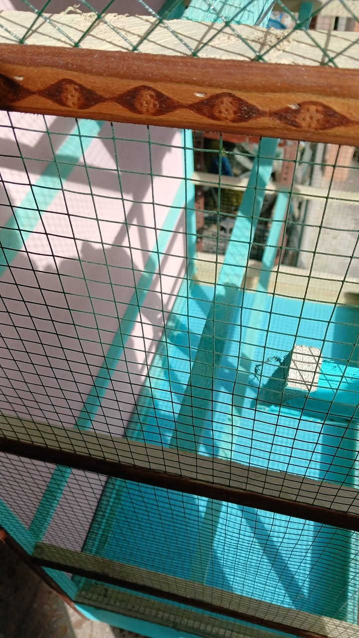 قفص متاح خشب صاج ثقيل
التفاصيل 
الارتفاع متر و60
 العرض متر و 5
النزال 60سنتيم
مجر تنضيف + مجر اكل 
درج العدد 1
المكان بغداد السفير العبيدي
#توصيل لايوجد 
السعر خاص

للاستفسار أكثر ***********
