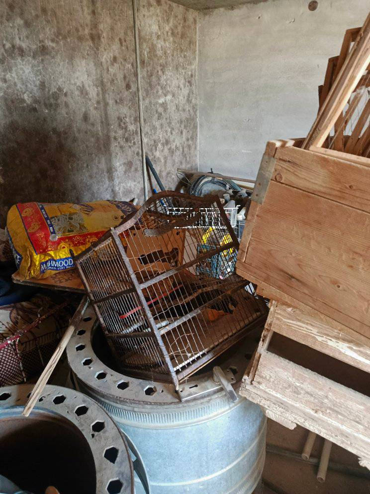 أغراض منزلية للبيع 
مكان سومر 
تواصل خاص


**إذا كنت صاحب هذا الإعلان وتريد حذفه لأي سبب، رجاءا أرسل رسالة إلى الدعم الفني**