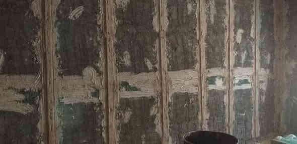 كادر اخوكم أبو عباس المبيضجي جميع مناطق بغداد الرصافه تواصل وياي واتساب شغل درجه  اولى خادمكم اي ستفسار اتفضلو***********
