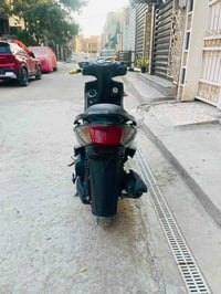 سكنس فحل • ماشية ١٥ الف • مامفتوح