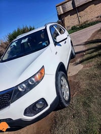 سورنتا • ٢٠١٣ • رقم بغداد