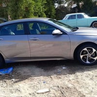 النترا • ٢٠٢٤ • ضرر بسيط