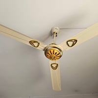 مروحة باكستاني • دبل بوربرن • سوق الشيوخ