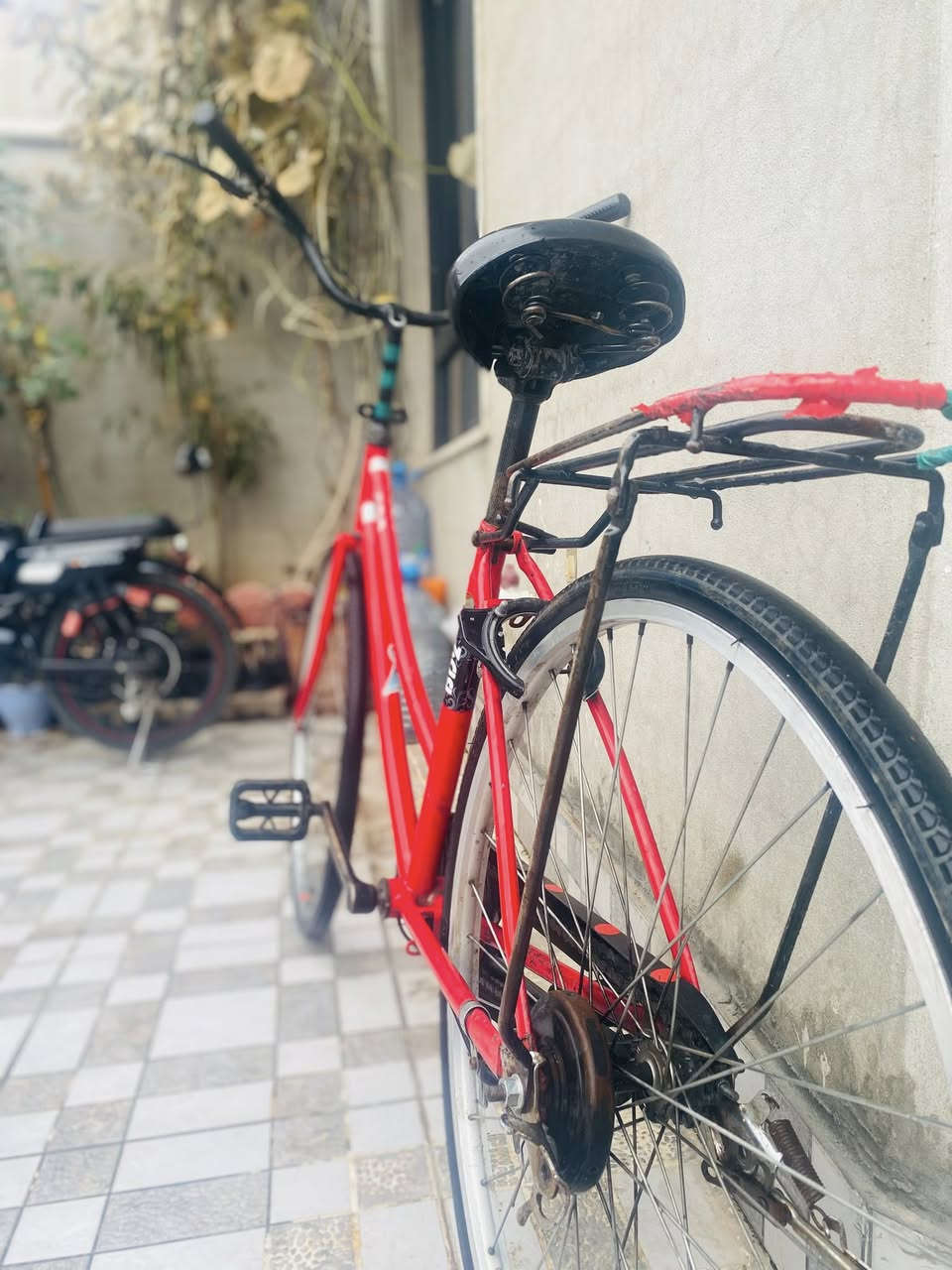 سلام عليكم ورحمه وبركاته 
بايسكل حجم 26البيع 
موديل :2018 
سعره :60وبي مجال شوي 
التواصل خاص


**إذا كنت صاحب هذا الإعلان وتريد حذفه لأي سبب، رجاءا أرسل رسالة إلى الدعم الفني**