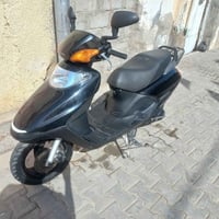 سبيسي ياباني • كفاله عامه • كوت كريميه