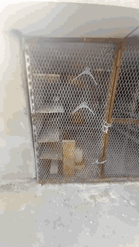 سلام عليكم من رخصة مدير الكروب متاح واجهيه حديد العرض 4مترات والطول متره ونص مكاني بغداد تاجي قرب معسكر باب الاول  الشراي يراسلني خاص ويدلل  .
