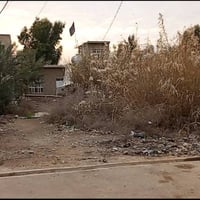 قطعة زراعي في بغداد المعامل العماري القرية  الفلاحية  كافة الخدمات موج...