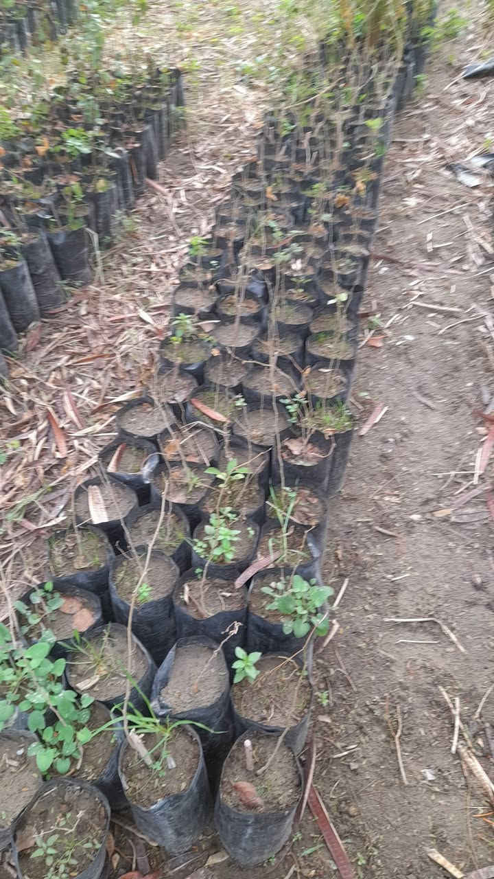 حمضيات انواع متر الف ونص  لنكه دنيا متر ٣ الف


**إذا كنت صاحب هذا الإعلان وتريد حذفه لأي سبب، رجاءا أرسل رسالة إلى الدعم الفني**